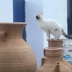 Casa Laryssiou *