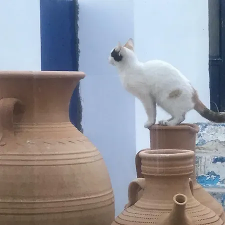Casa Laryssiou *